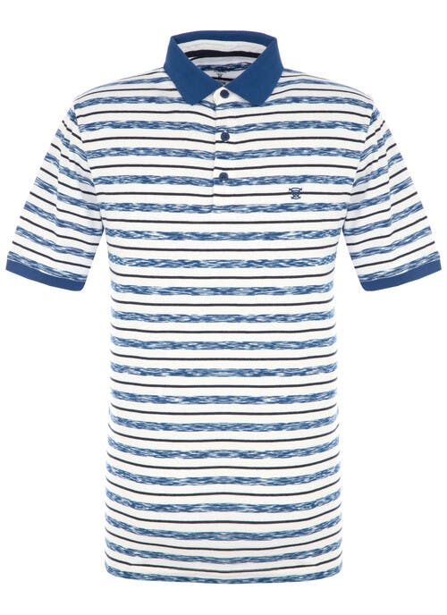 Blue Stripe Polo Shirt