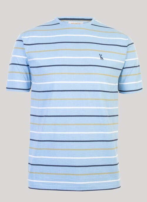 Blue Stripe Crew Neck T Shirt