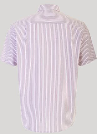 Short Sleeve Oxford Stripe Shirt