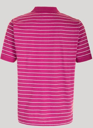 Cotton Striped Polo Shirt
