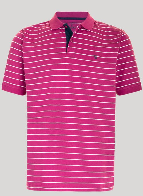 Cotton Striped Polo Shirt