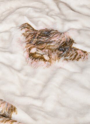 Highland Cow Fleece Throw