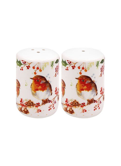 Winter Robins Fine China Boxed Salt & Pepper Set