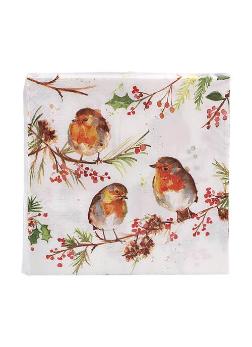 Winter Robins Paper Napkins (Pack of 20)