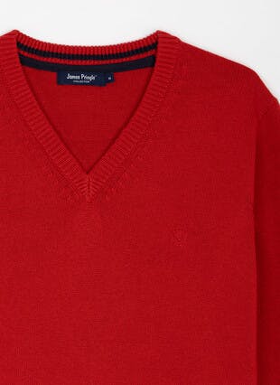 Pure Cotton V Neck Jumper