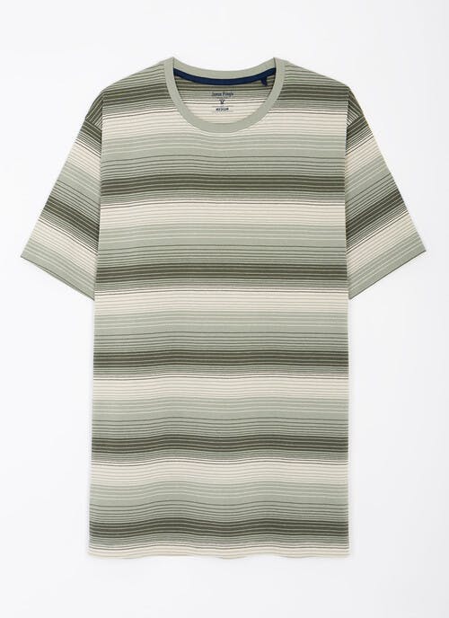 Pure Cotton Ombre Stripe T-Shirt