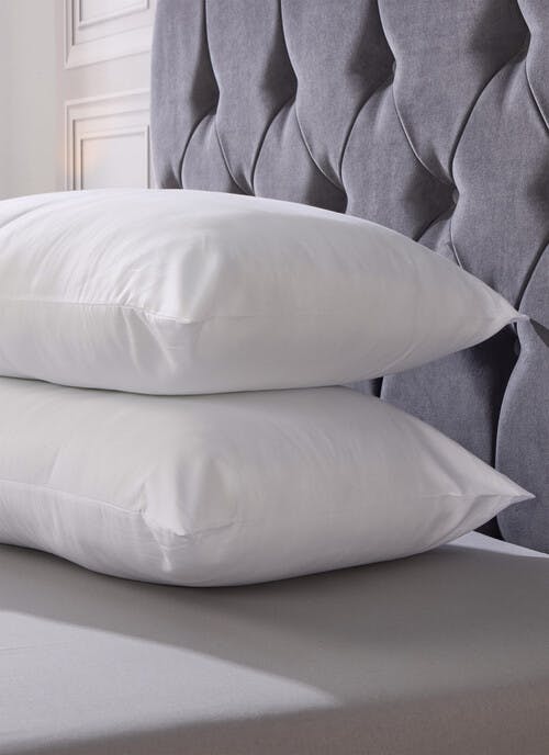 Egyptian Cotton Pillow Pair