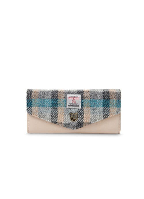 The Large Clasp purse